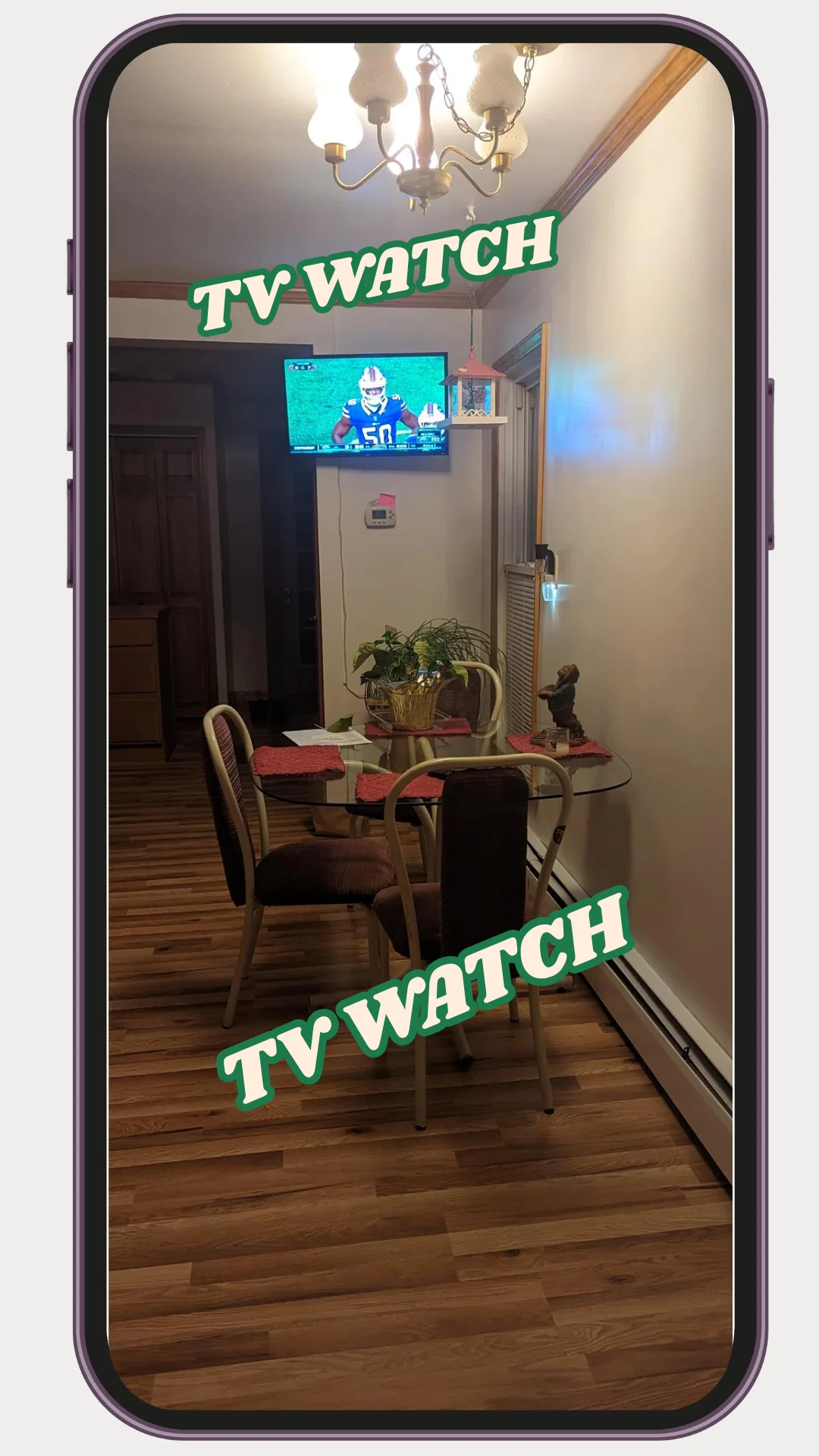 TV WATCH F