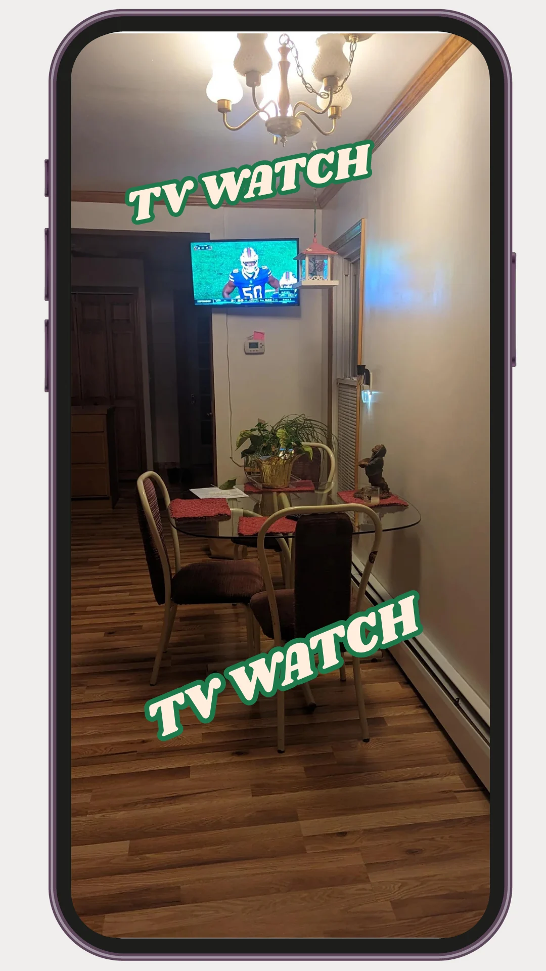 TV WATCH FDF