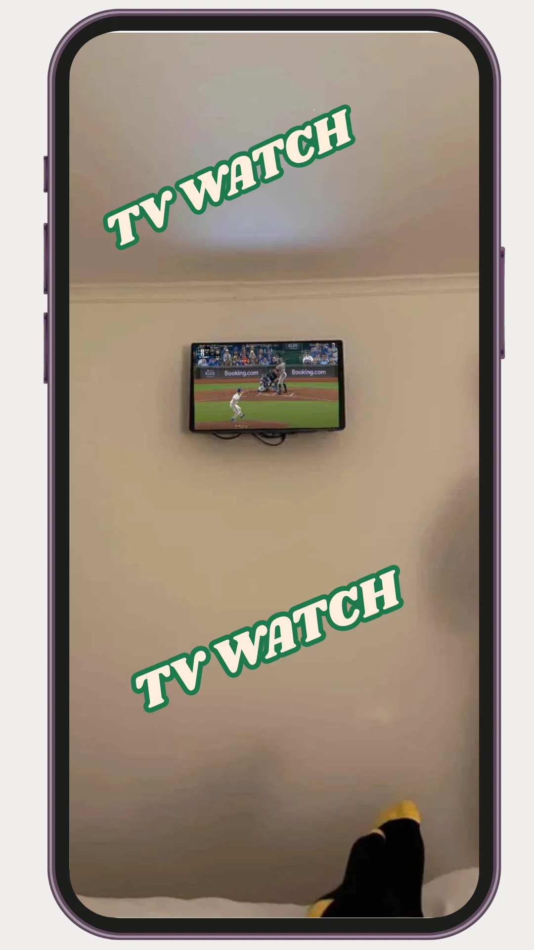 TV WATCHIQZS